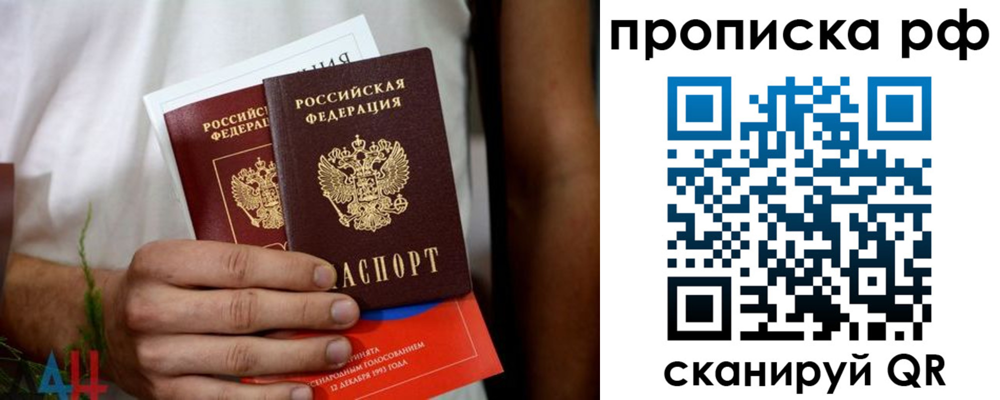 регистрация в Владимирской области